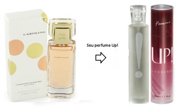 Perfume feminino UP! 10 Carolina Herrera( Tubete 50m)